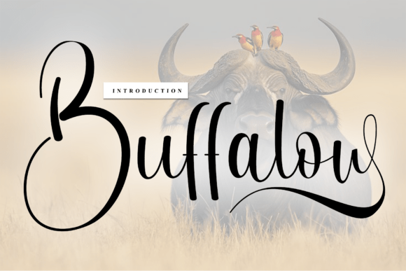 Buffalow: A Timeless Handwritten Font for Creative Expression