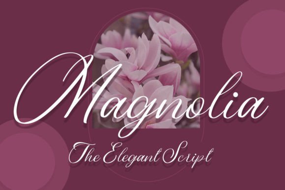 Magnolia: A Script Font with Elegance and Versatility